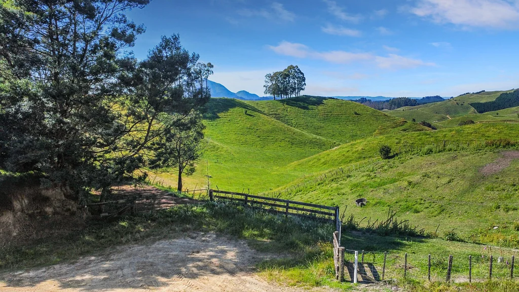 Rotoma Bare land opportunity - vendor says 'SELL'