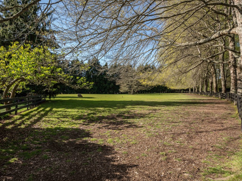 55 Poplar Lane, Matangi, Waikato, 0 habitaciones, 0 baños