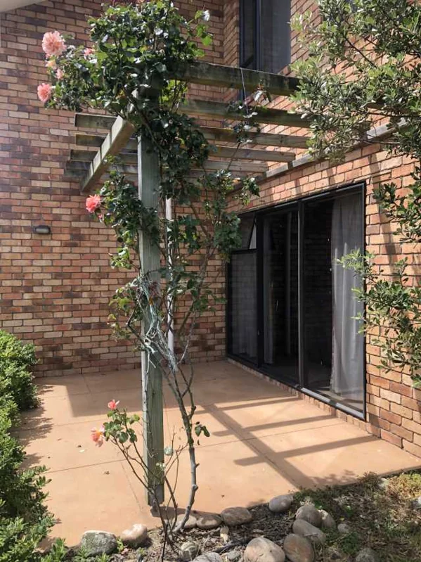 Rarangi 4房  Its a Family Home its why it has plenty of room!