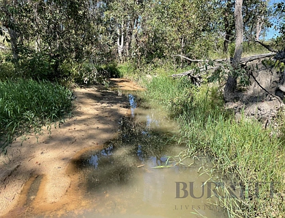 LOT 167 Towns Creek Road, Mount Perry, Wide Bay, 0房, 0浴, Lifestyle Property