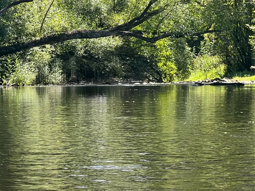 Thornton Rare Riverfront Property on the Rubicon River