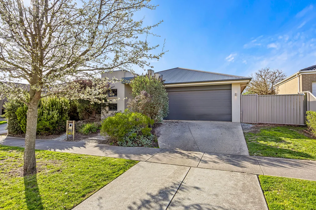 11 Carbine Drive, Alfredton, VIC 3350