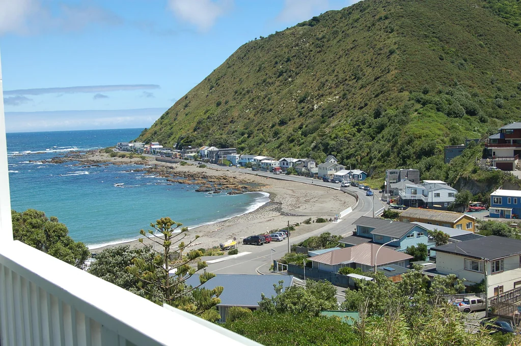 Owhiro Bay 3 Bedroom SUNNY, SOUTH COAST LIVING!