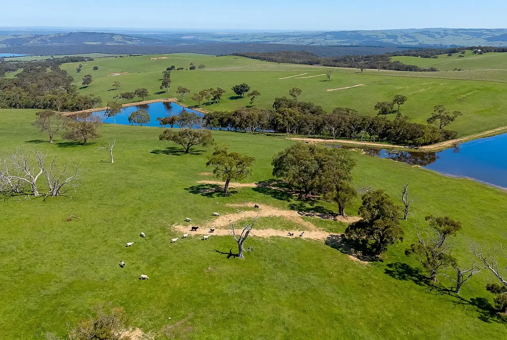 Mount Magnificent Prime Agricultural Grazing Land