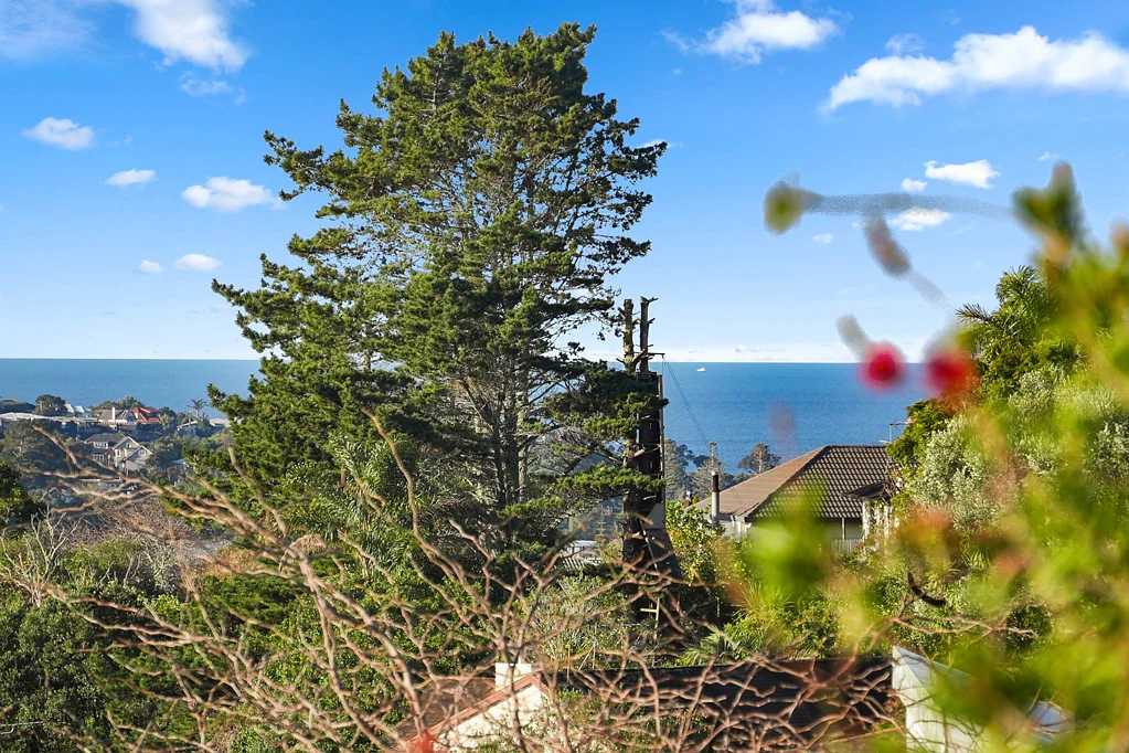 Browns Bay 3 Slaapkamer Sun, Sea & Space – Rangi Zone & Future Potential