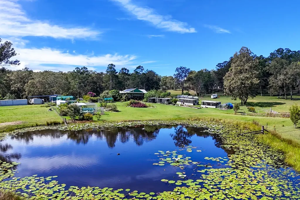 2058 Armidale Road, Willawarrin, NSW 2440