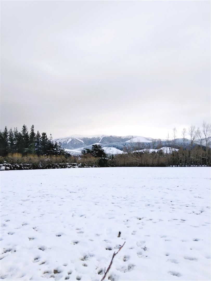 66 Sladdens Bush Road, Oxford, Waimakariri, 0 rūma, 0 rūma horoi