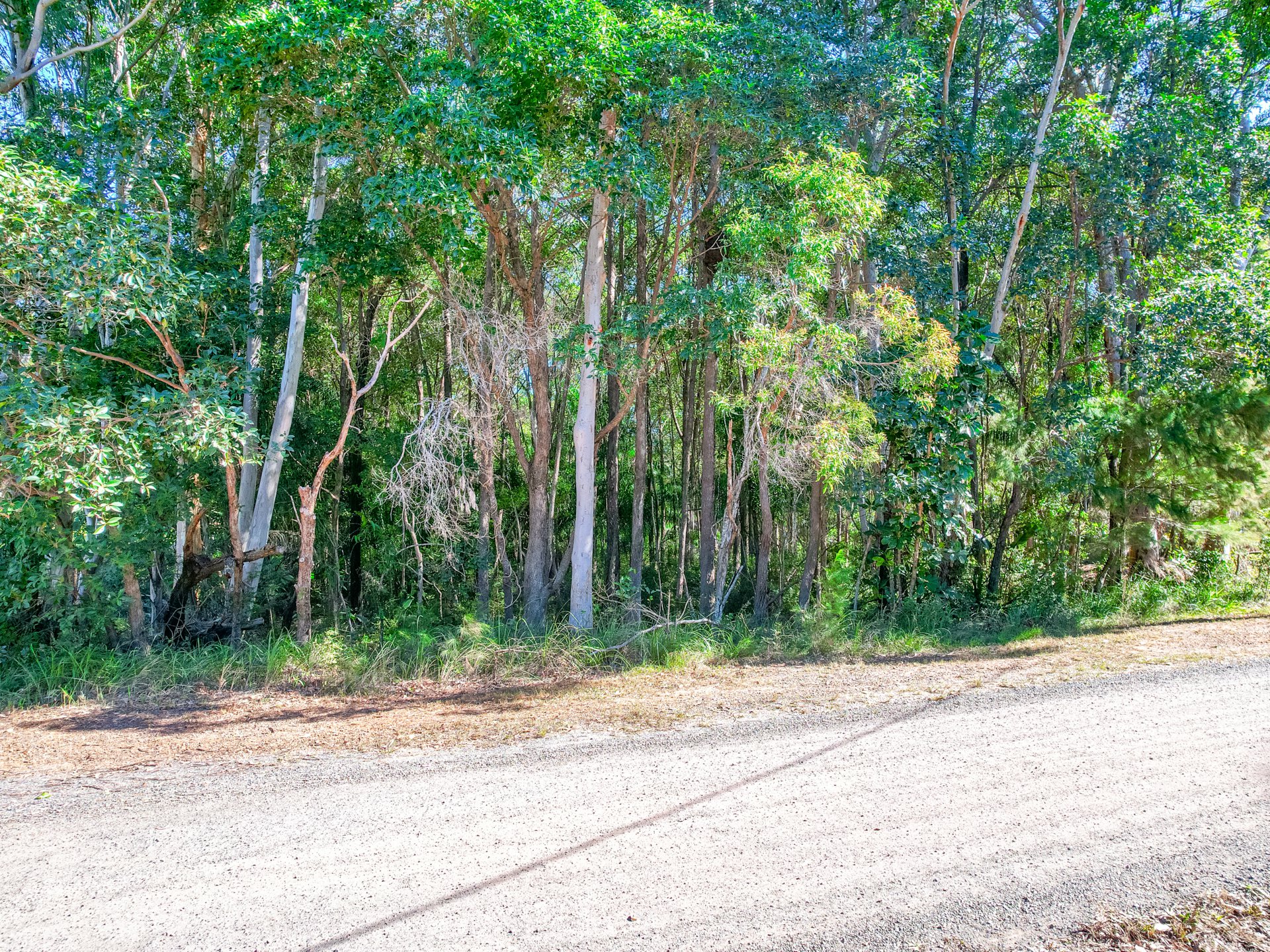 77 SHORE ST, RUSSELL ISLAND QLD 4184, 0 rūma, 0 rūma horoi, Section