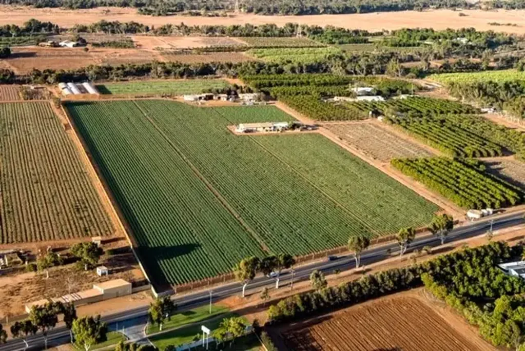 Carnarvon 5 Slaapkamer Lifestyle and Horticultural Opportunity