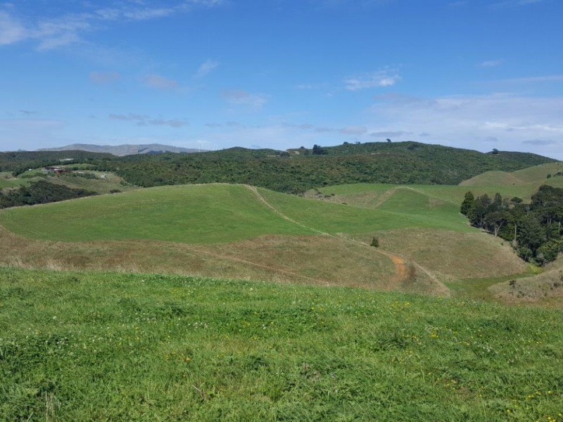 Maungatawhiri Road, Raglan, Waikato, 0 कमरे, 1 बाथरूम