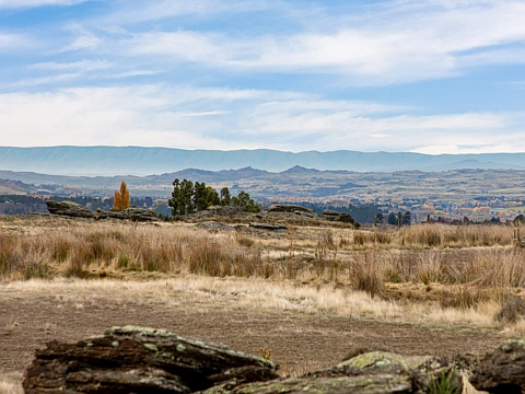 Alexandra SPACE, SUNSHINE, AND SPECTACULAR VIEWS