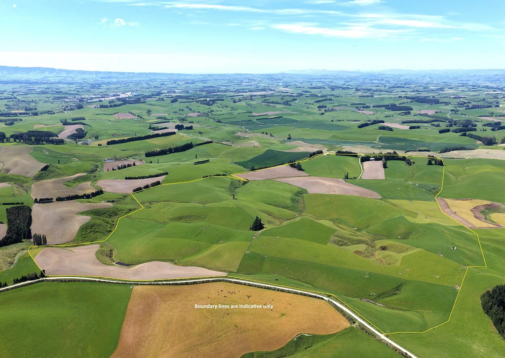 Gore Surrounds  Well Presented First Farm or Supporting Block