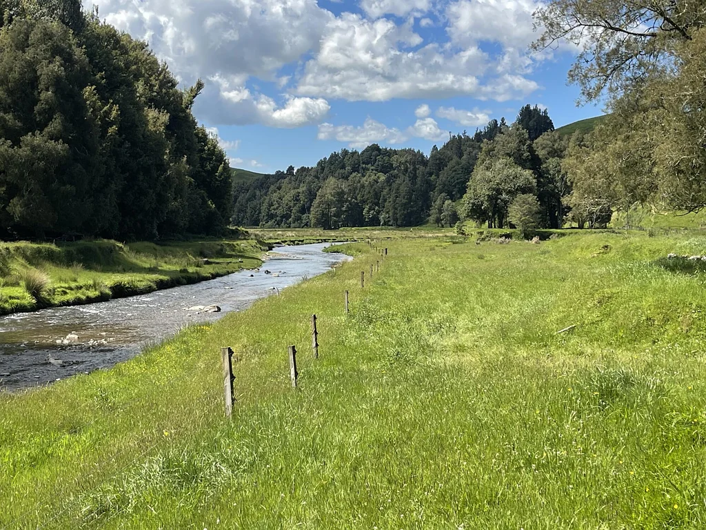 Otorohanga  So Much More Than Just A Farm