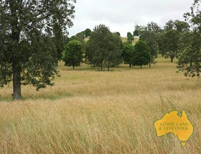 LOT 2/. New England Highway, Yarraman, Darling Downs, 0 રૂમ, 0 બાથરૂમ, Lifestyle Property