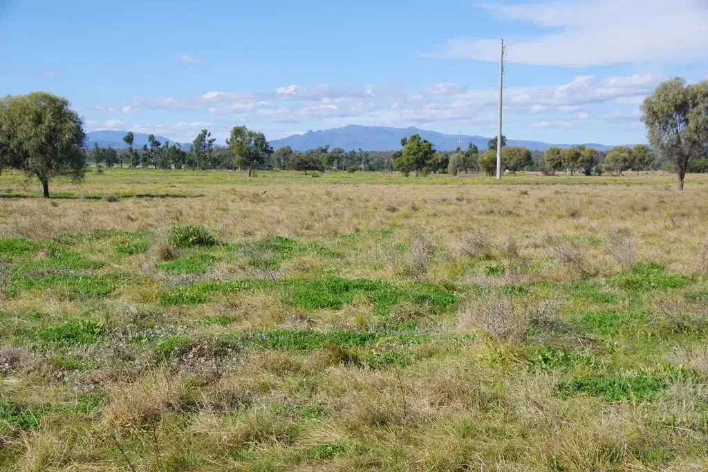 Narrabri Unique Grazing & Lifestyle Block