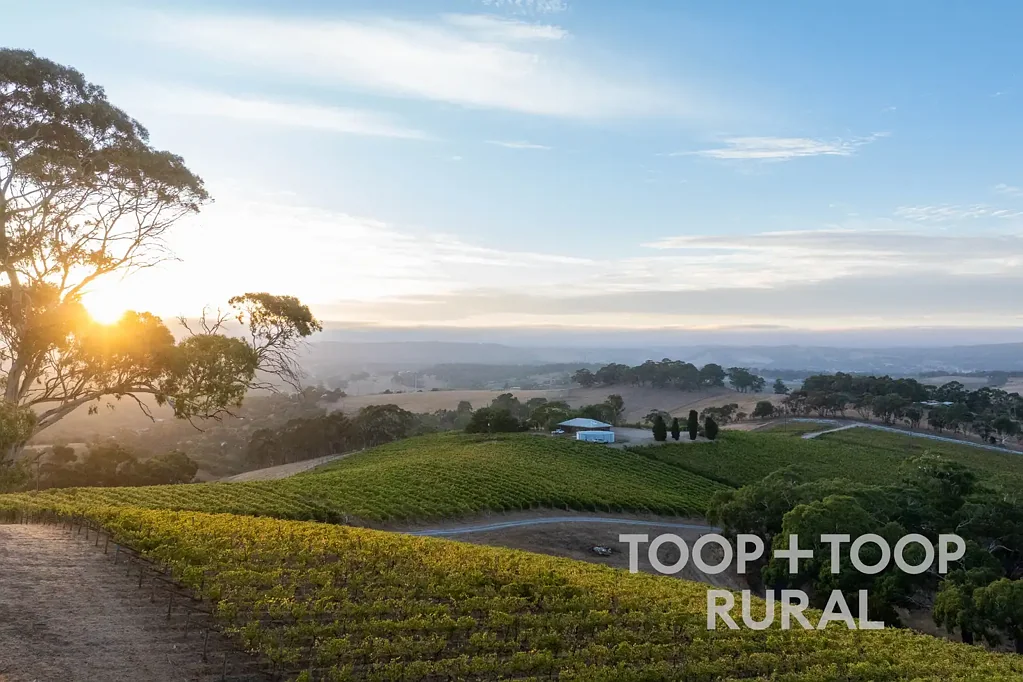 56 Chalk Hill Road, Clarendon, SA 5157