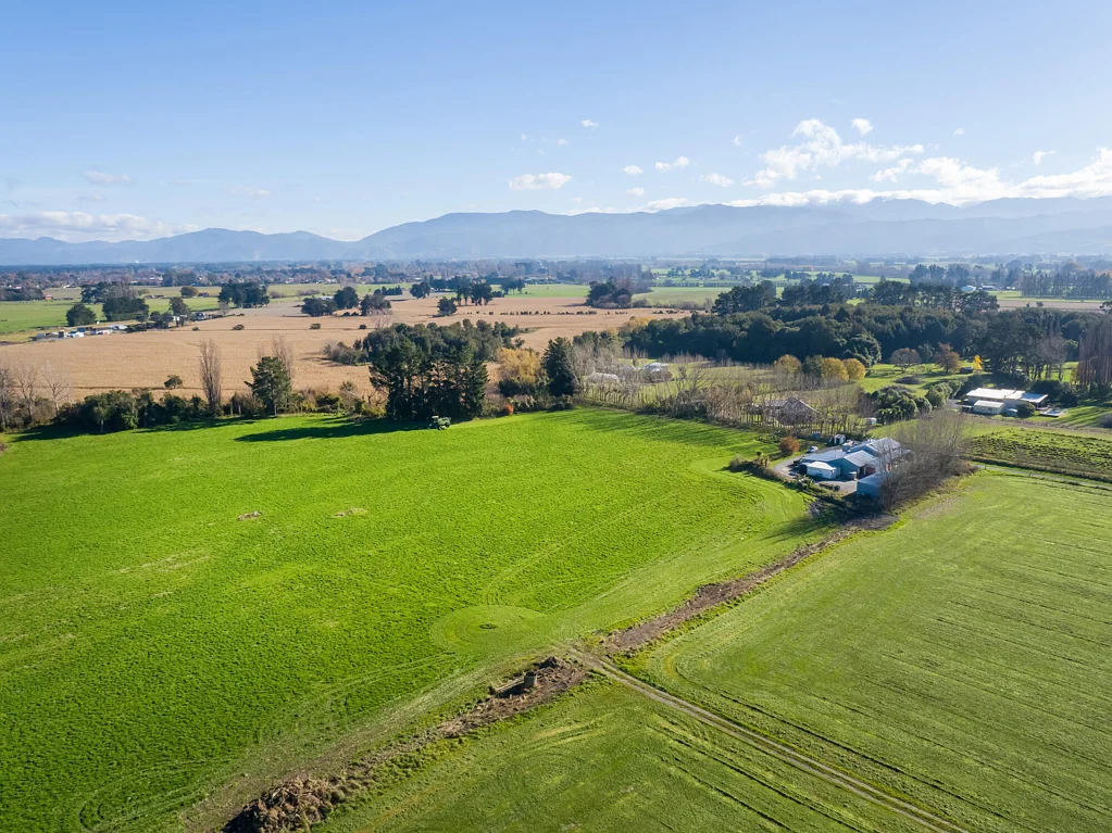Greytown  Grow, store and live - 15ha