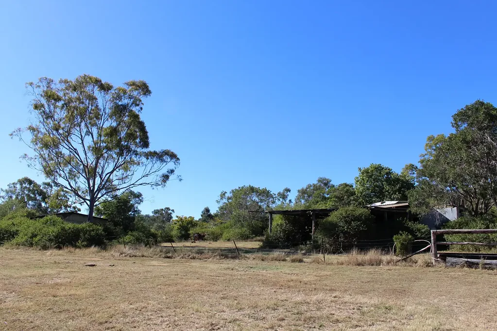 Darts Creek  Well sought after breeder block located in the Mount Larcom District.