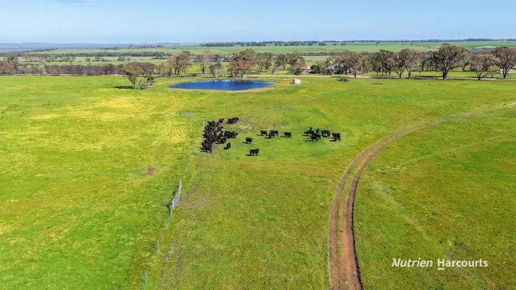 Dalyup Ringwood North