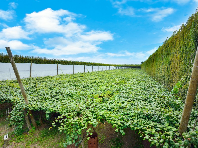 184 Opou Road, Manutuke, Gisborne, 0 phòng ngủ, 0 phòng tắm