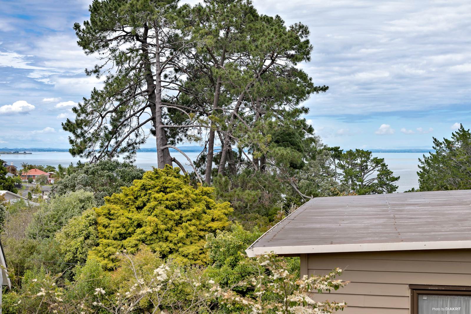 9/93 Donovan Street, Blockhouse Bay, Auckland, 2 habitaciones, 1 baños