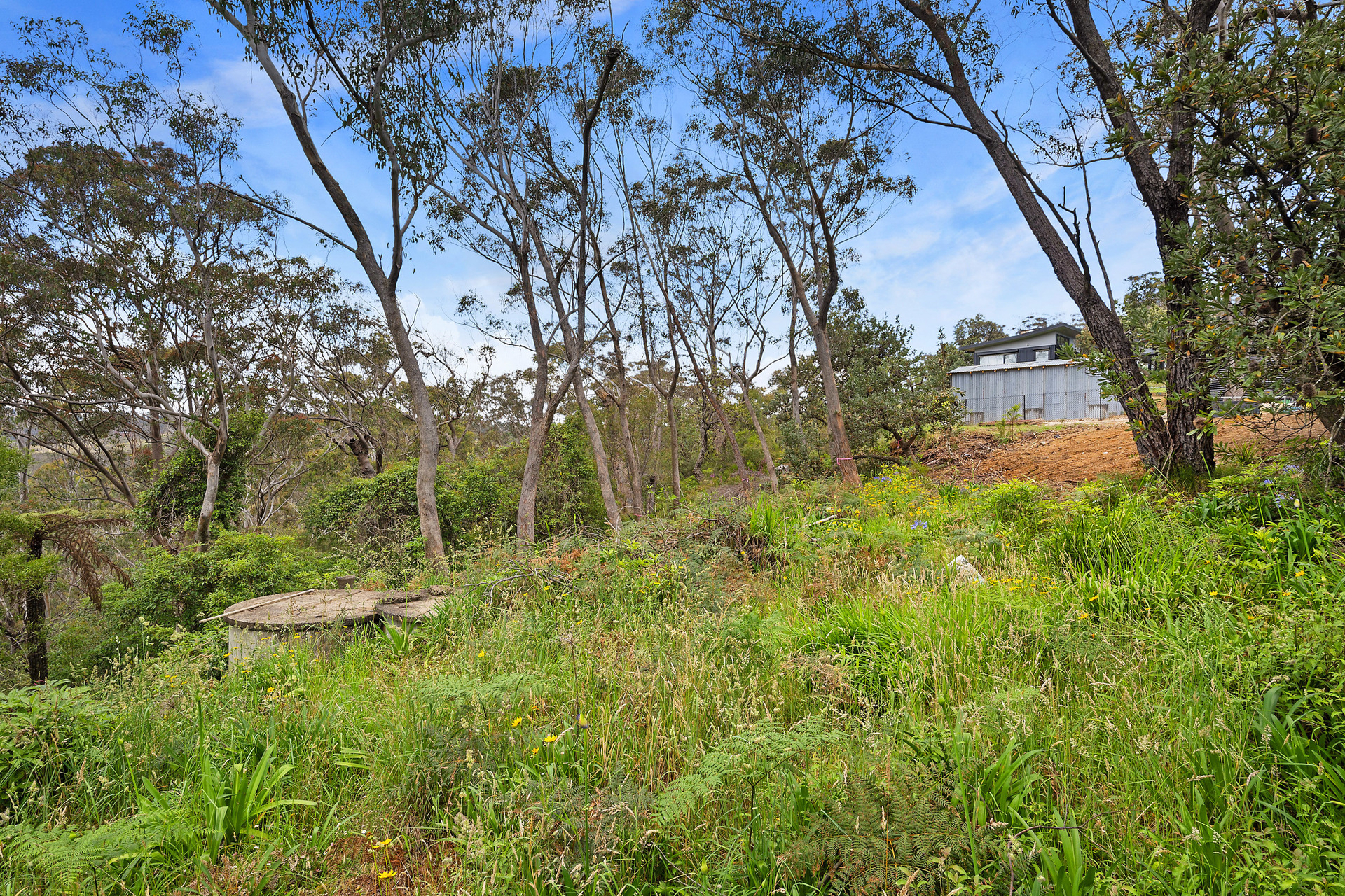 47A LAWSON VIEW PDE, WENTWORTH FALLS NSW 2782, 0 phòng ngủ, 0 phòng tắm, Section