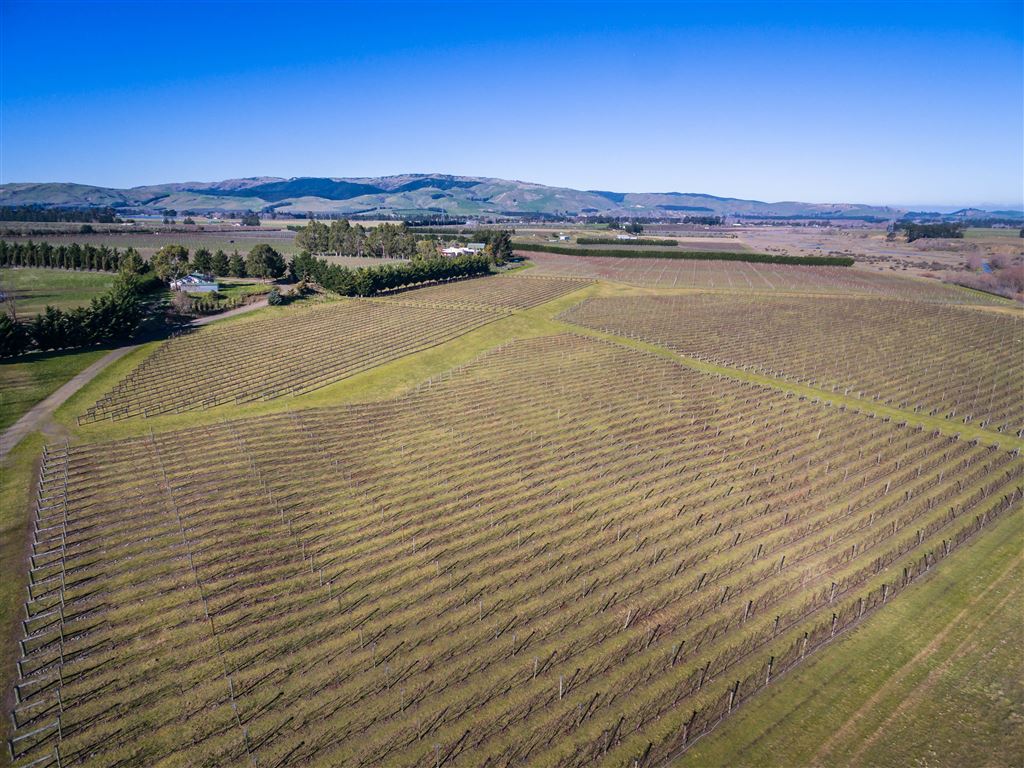 167 Mackenzies Road, Waipara, Hurunui, 2 Bedrooms, 1 Bathrooms