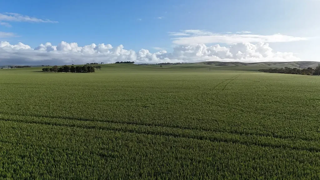 Crystal Brook  'Crystal Valley'