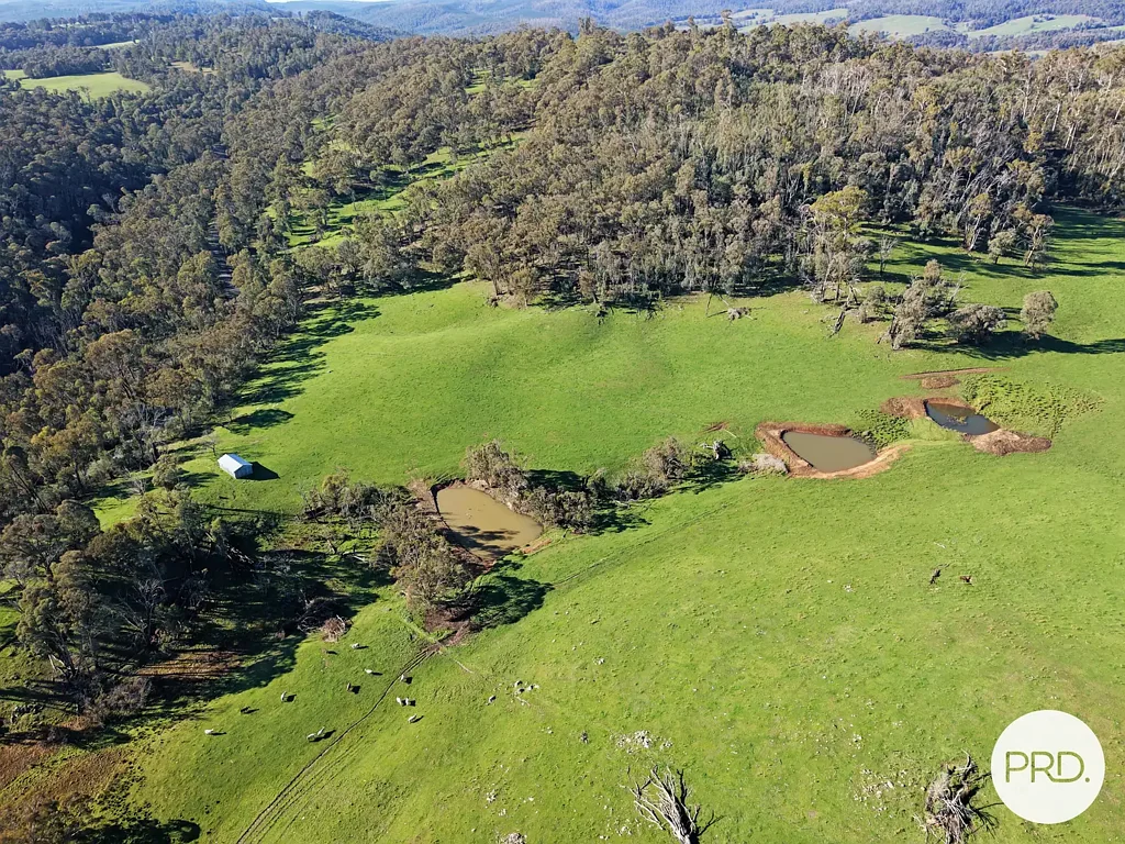 Courabyra 69.2 Acres of Rural Opportunity