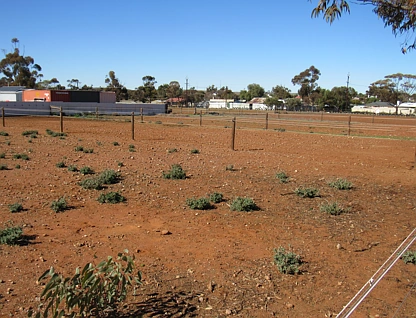Lot 873 Victoria East Street, Peterborough, Barossa - Yorke - Mid North, 0 habitaciones, 0 baños, Section