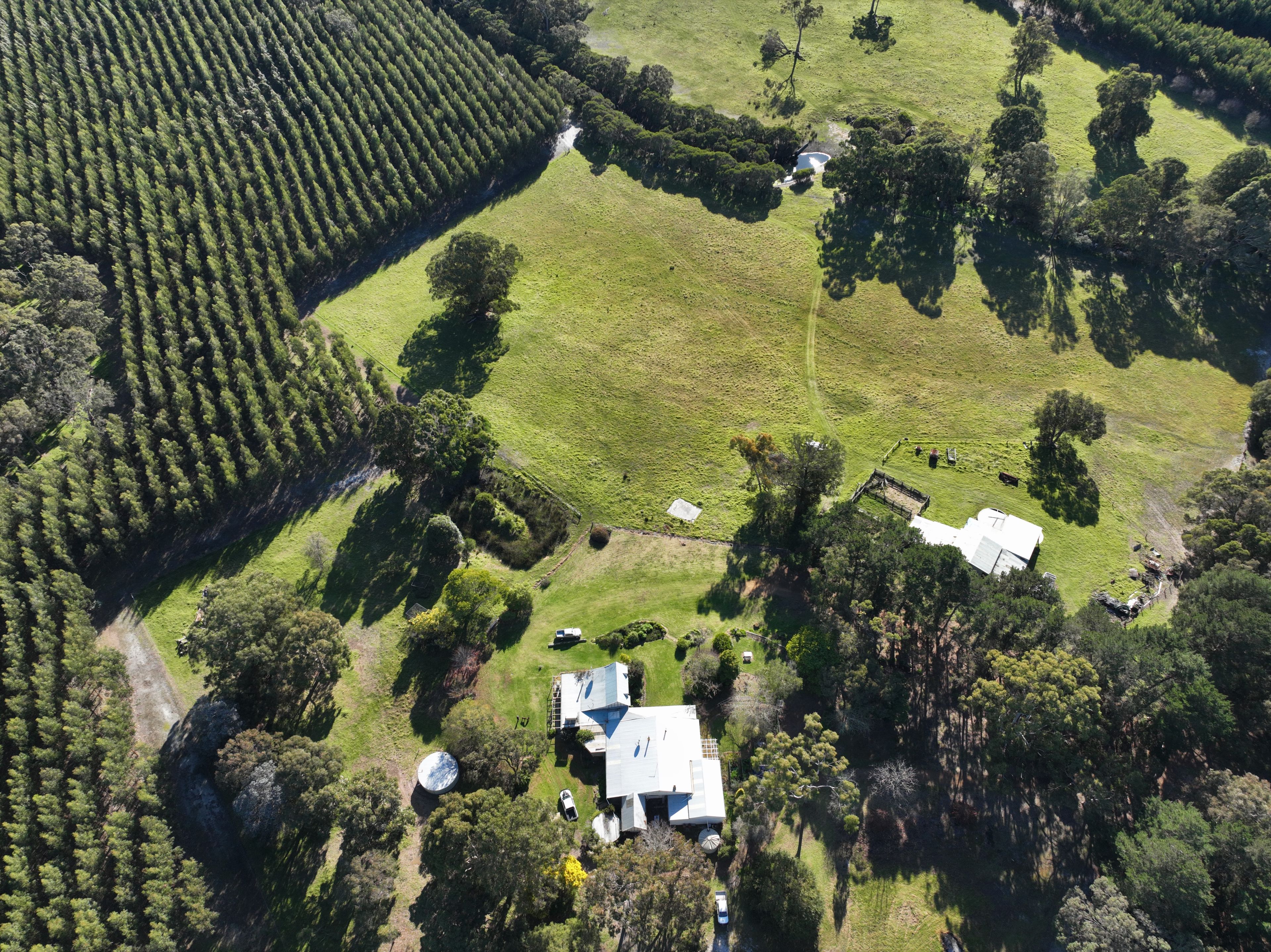 1337 SETTLEMENT RD, NARRIKUP WA 6326, 0 rūma, 0 rūma horoi, Lifestyle Property