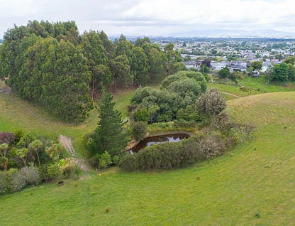 22 Halcombe Road, Feilding, Manawatu, 0 ਕਮਰੇ, 0 ਬਾਥਰੂਮ, Lifestyle Section