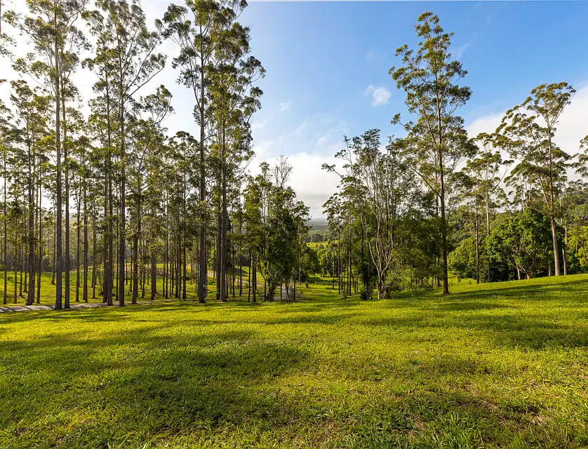 Crystal Creek Circuit, Coorabell, NSW 2479, 0部屋, 0バスルーム, Section