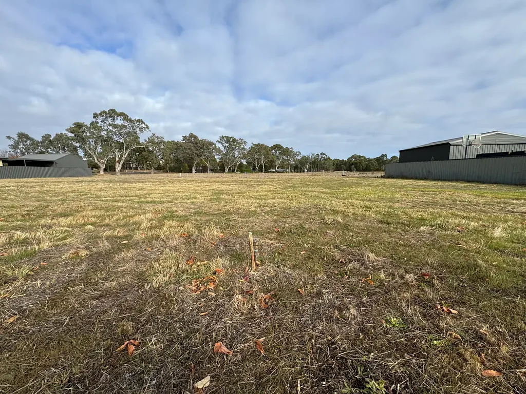 Charleston Large, Flat Residential Allotment