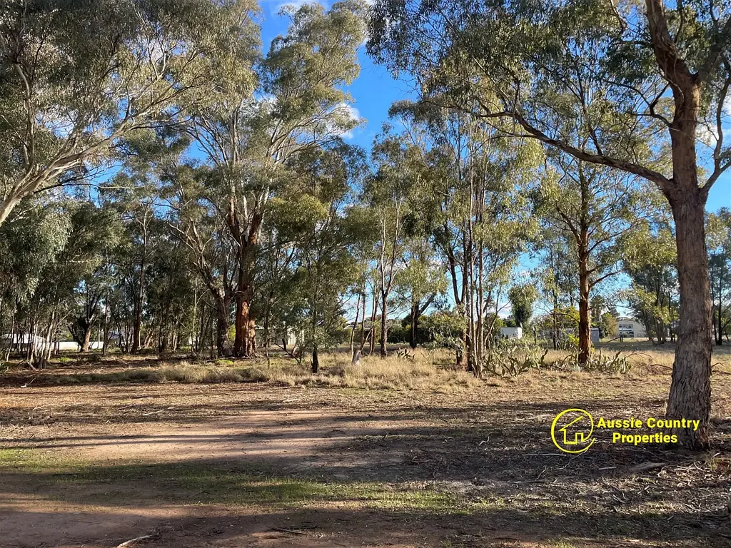 42 - 44 High Street, Berrigan, NSW 2712