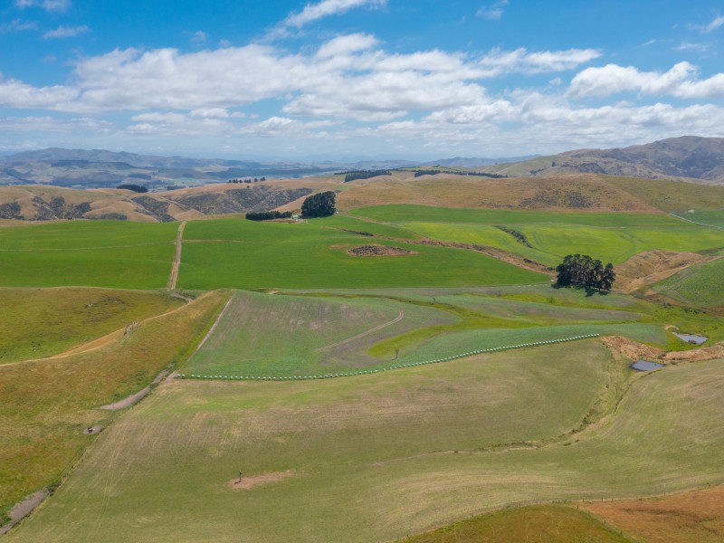 324 Reeces Road, Waipara, Hurunui, 0房, 0浴