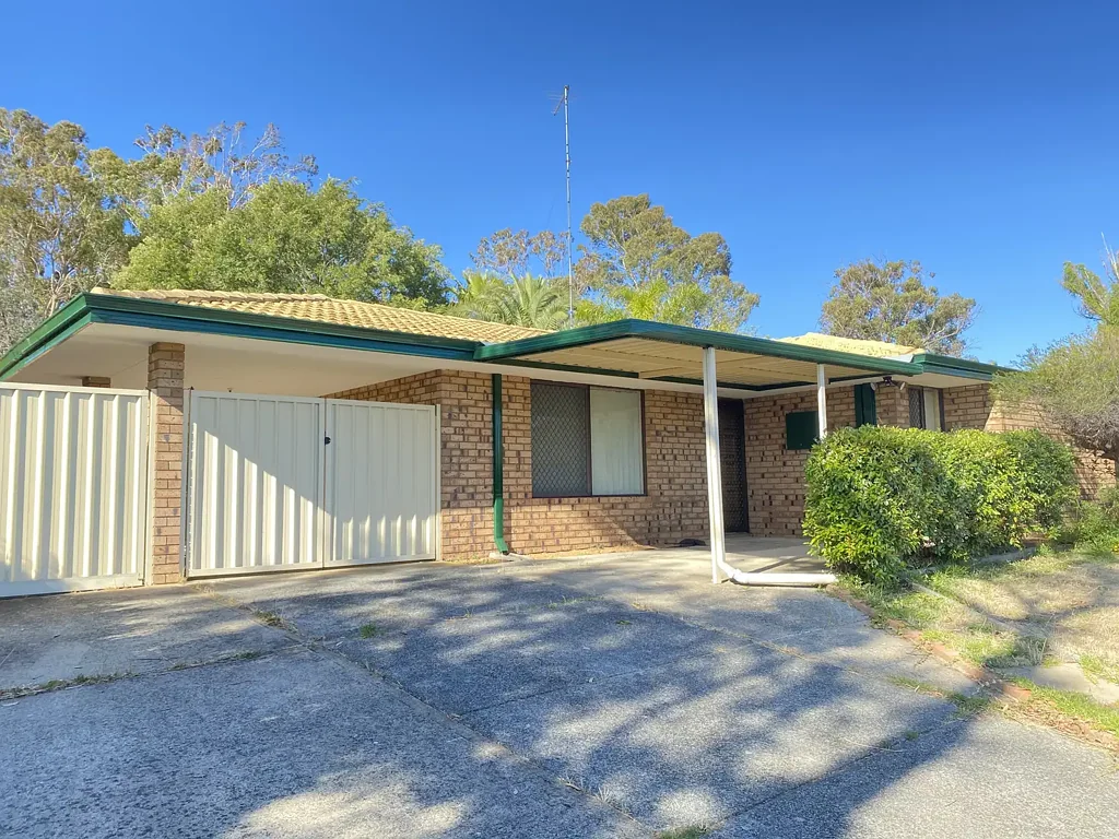 Friendly Neighbour of Parmelia
