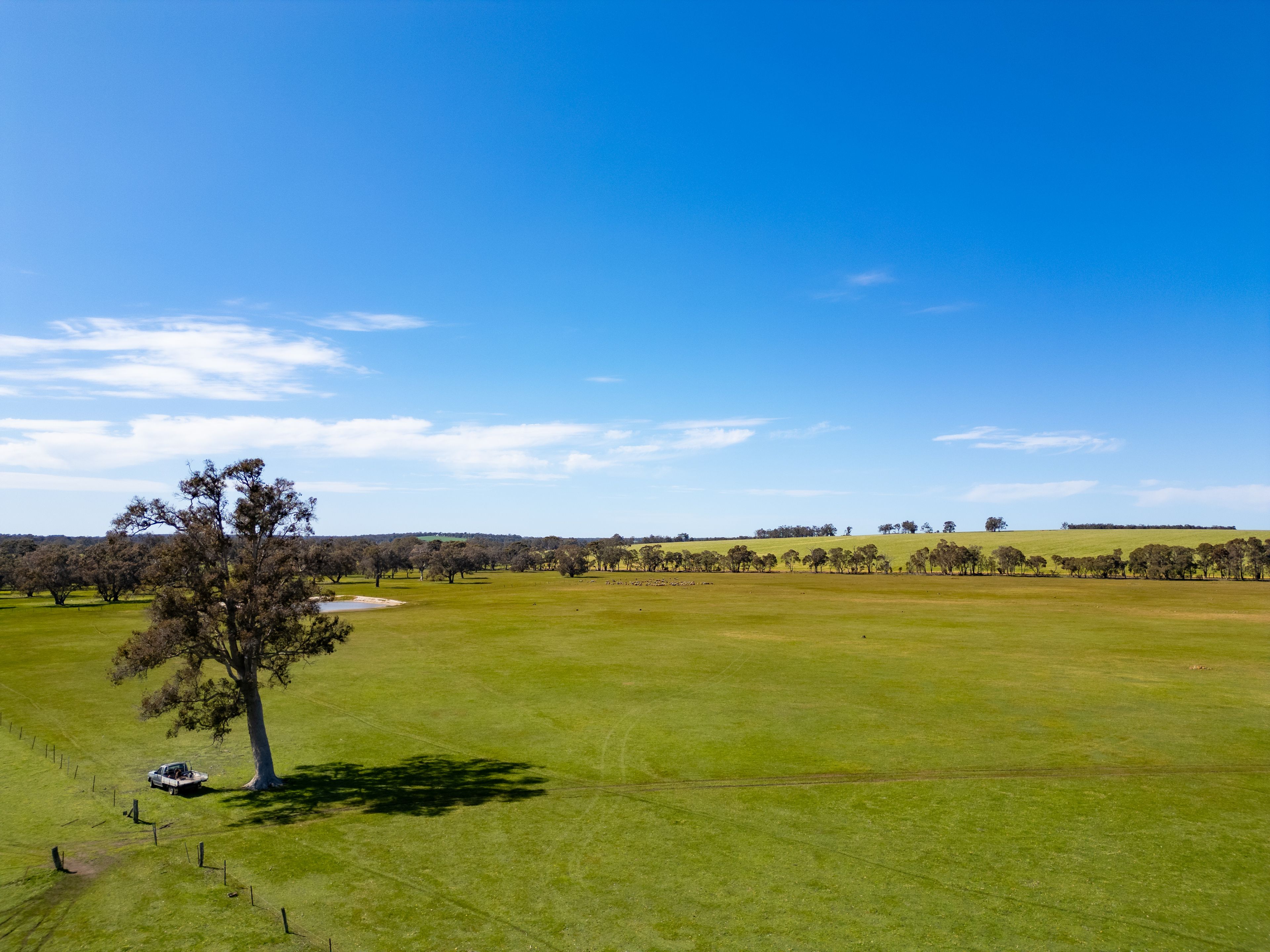 353 FRANKLAND-CRANBROOK RD, FRANKLAND RIVER WA 6396, 0 Schlafzimmer, 0 Badezimmer, Lifestyle Property