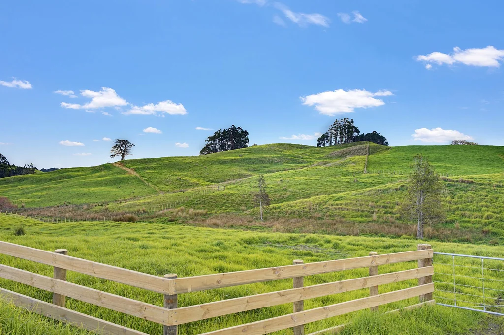 Maungaturoto Space, Grazing & Native Beauty