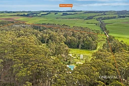 98 MacKays Road, Marrawah
