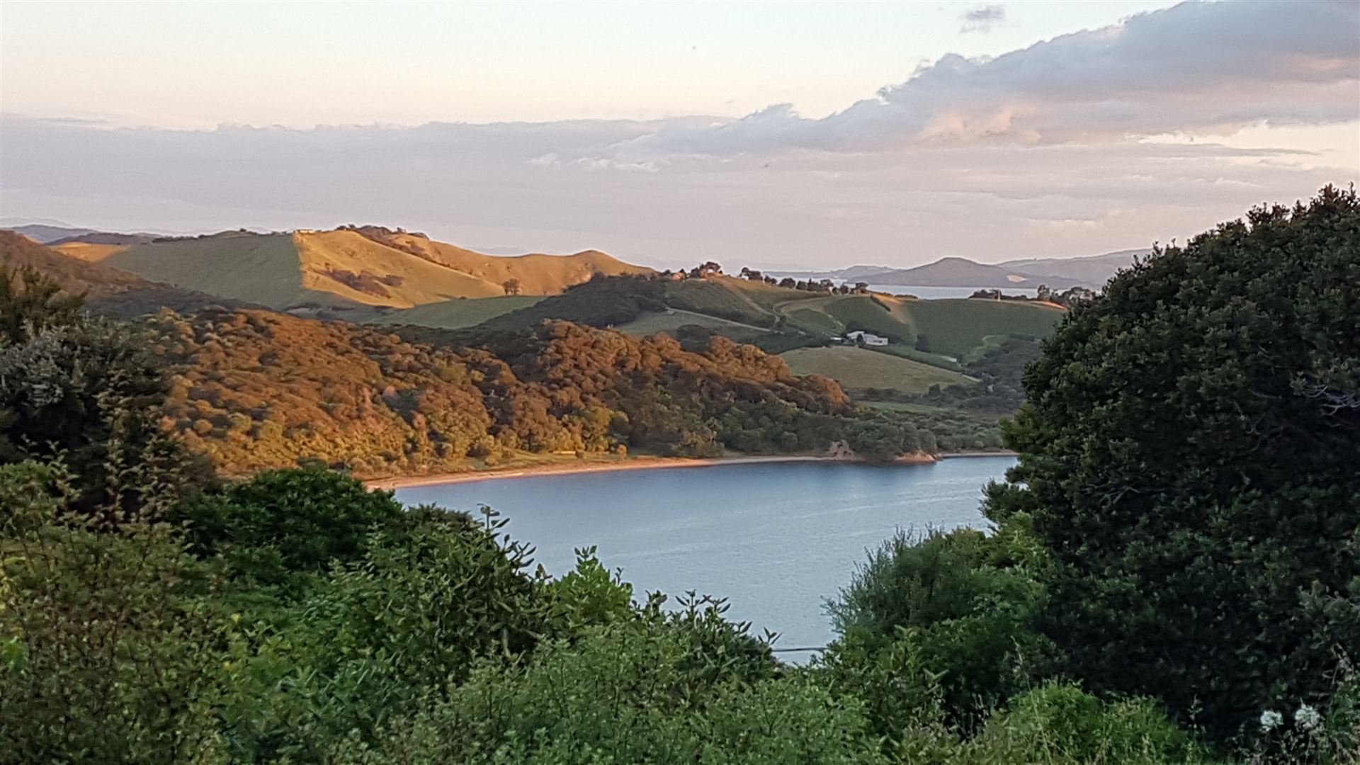 Hauraki Gulf Islands