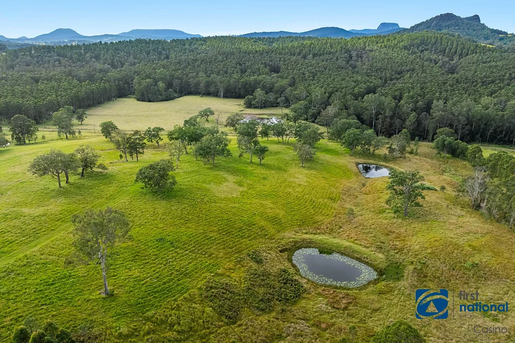 Urbenville Scenic Lifestyle Property in the Heart of the Border Ranges