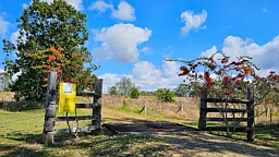 991 Mount Steadman Road, Mount Steadman