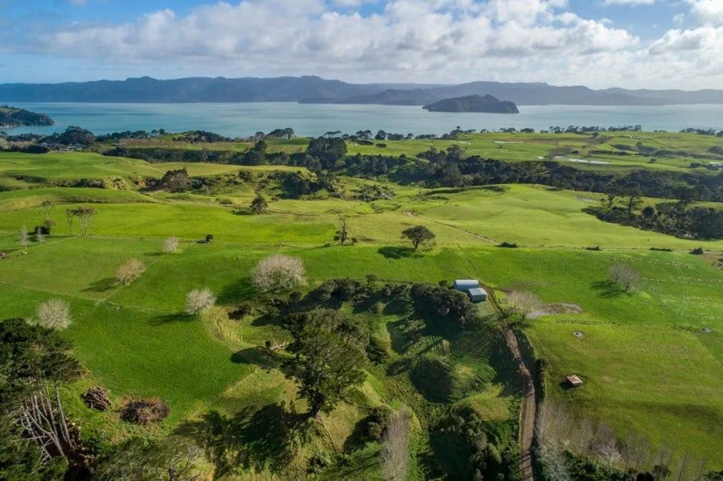 Manukau Heads Versatile Coastal Farm – 44.7ha Manukau Heads