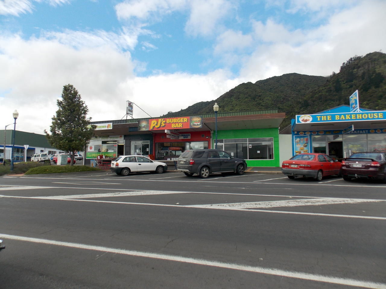 196 Whitaker Street, Te Aroha, Matamata, 0 રૂમ, 0 બાથરૂમ