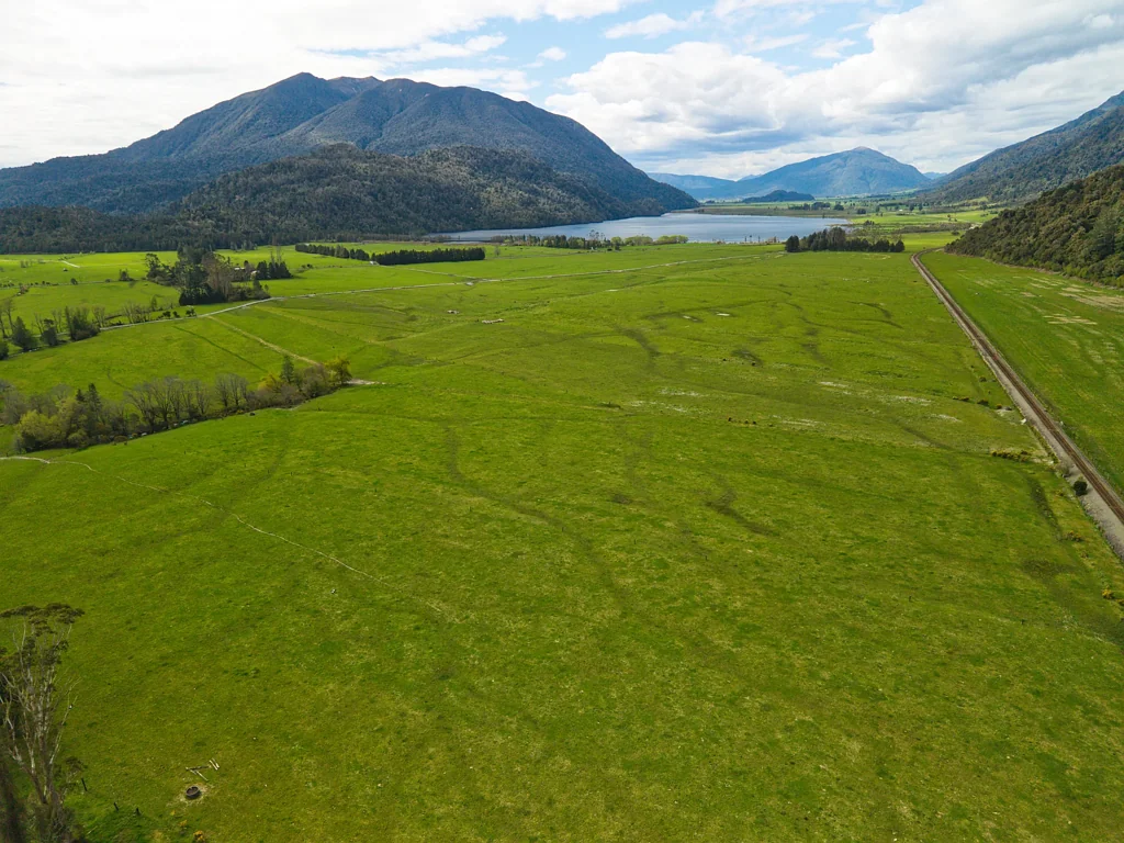 Moana / Lake Brunner Dairy, dairy support, finishing - you choose