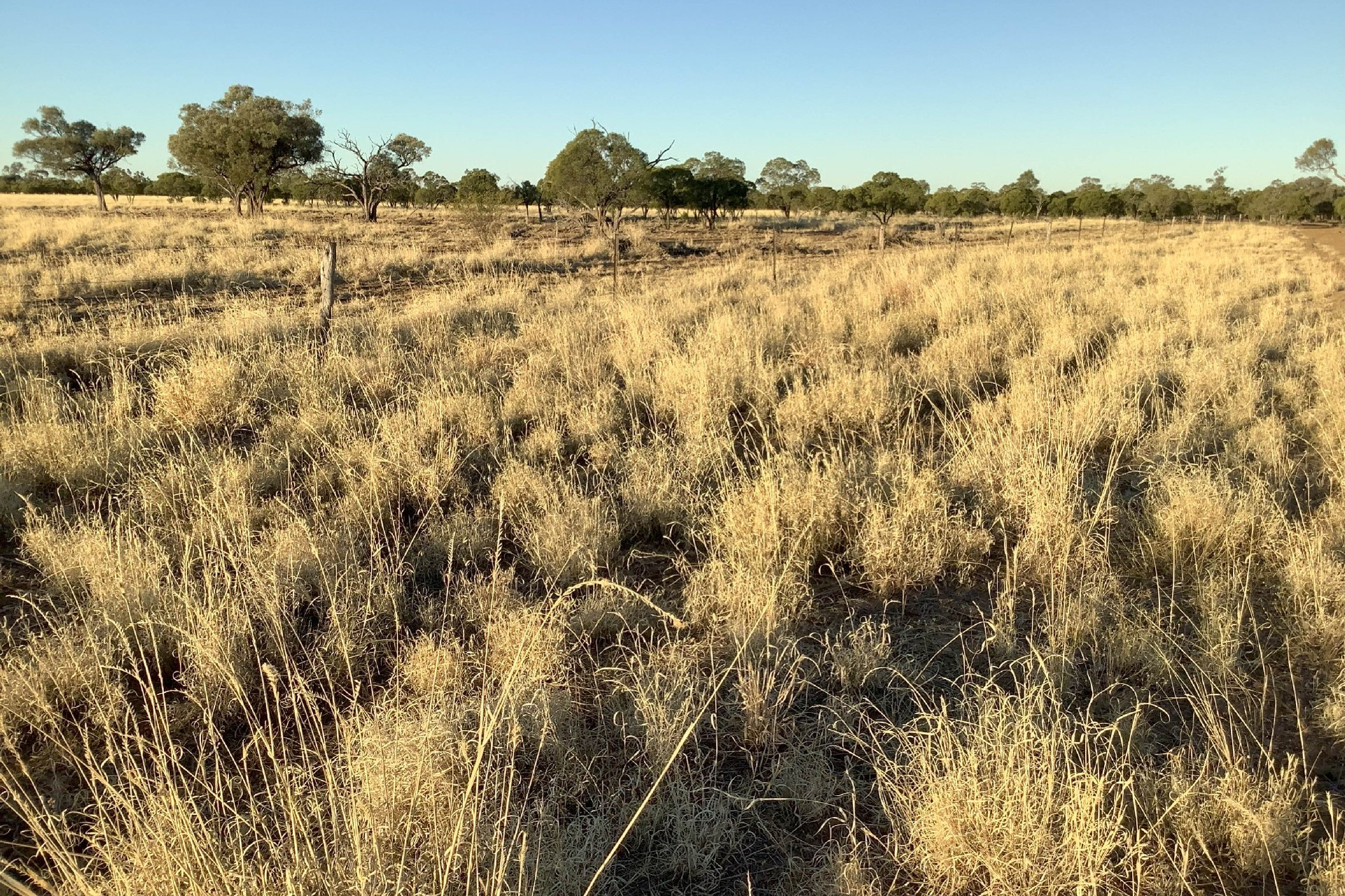 YANBURRA 4080 CRAMSIE - MUTTABURRA RD, LONGREACH QLD 4730, 0 chambres, 0 salles de bain, Lifestyle Property