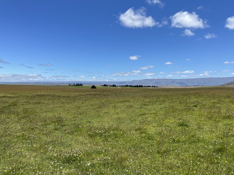 2 Bray Road, Middlemarch, Dunedin, 4 habitaciones, 0 baños, Grazing