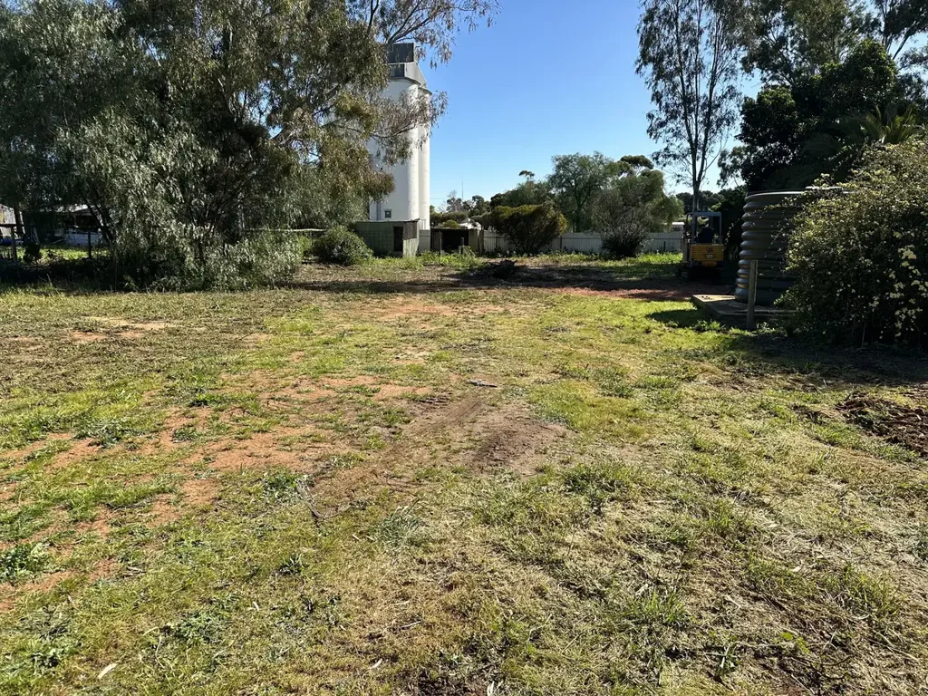 9 East Terrace, Brinkworth, SA 5464