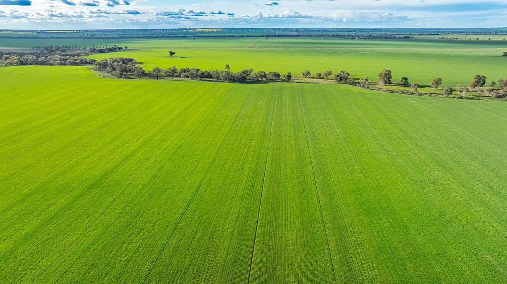 Bidgeemia  Willara Aggregation - Premium Mixed Farming Opportunity in Bidgeemia, NSW